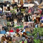 The GYRE Volunteers!