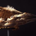 A Treasure from Our West: Eagle hat