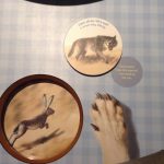 Dire Wolf Interactive; Everyone Learns During a Visit to a Museum
