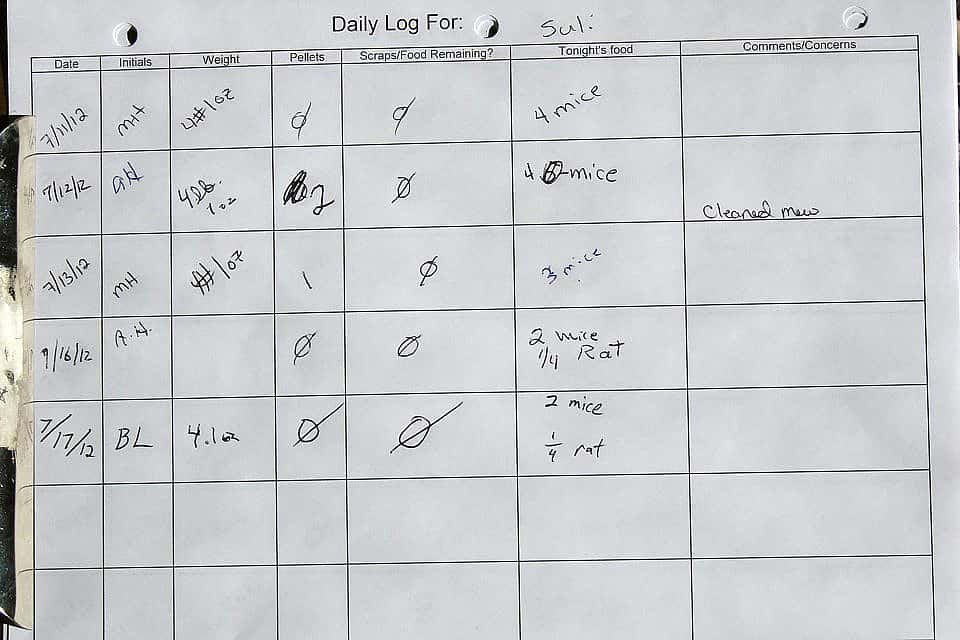 Suli’s Daily Log - Buffalo Bill Center of the West