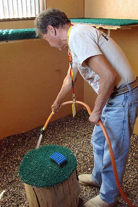 Richard washing down the gravel in Isham‘s mew at the Greater Yellowstone Raptor Experience