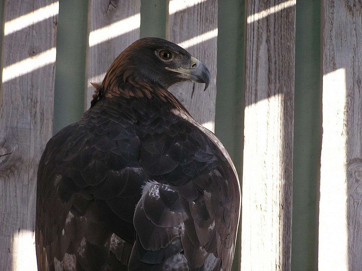 Another view of her while at the rehab center.