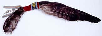 Golden eagle feather fan, Sioux, 1885. Golden eagle feathers, cloth, beads. Adolf Spohr Collection, Gift of Mr. Larry Sheerin. NA.203.372