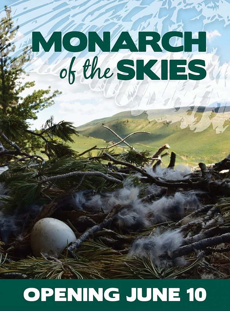 Promotional poster for "Monarch of the Skies" featuring an eagle perched on a branch with a scenic mountain landscape in the background, announcing an opening on June 10.