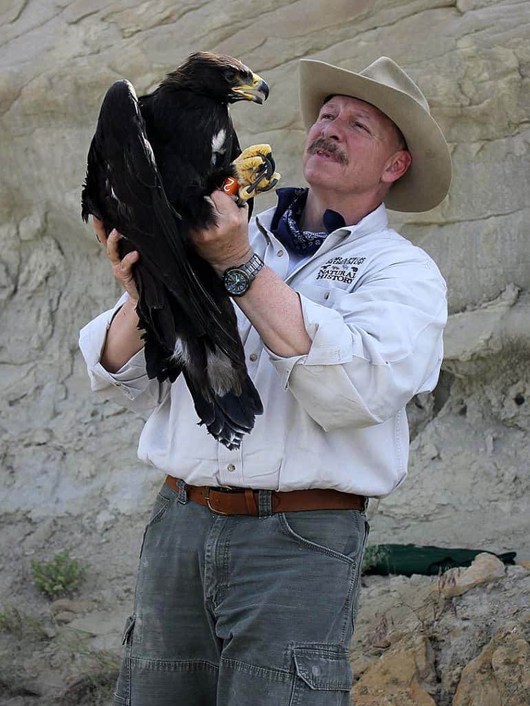 Dr. Charles R. Preston with golden eagle in the field.