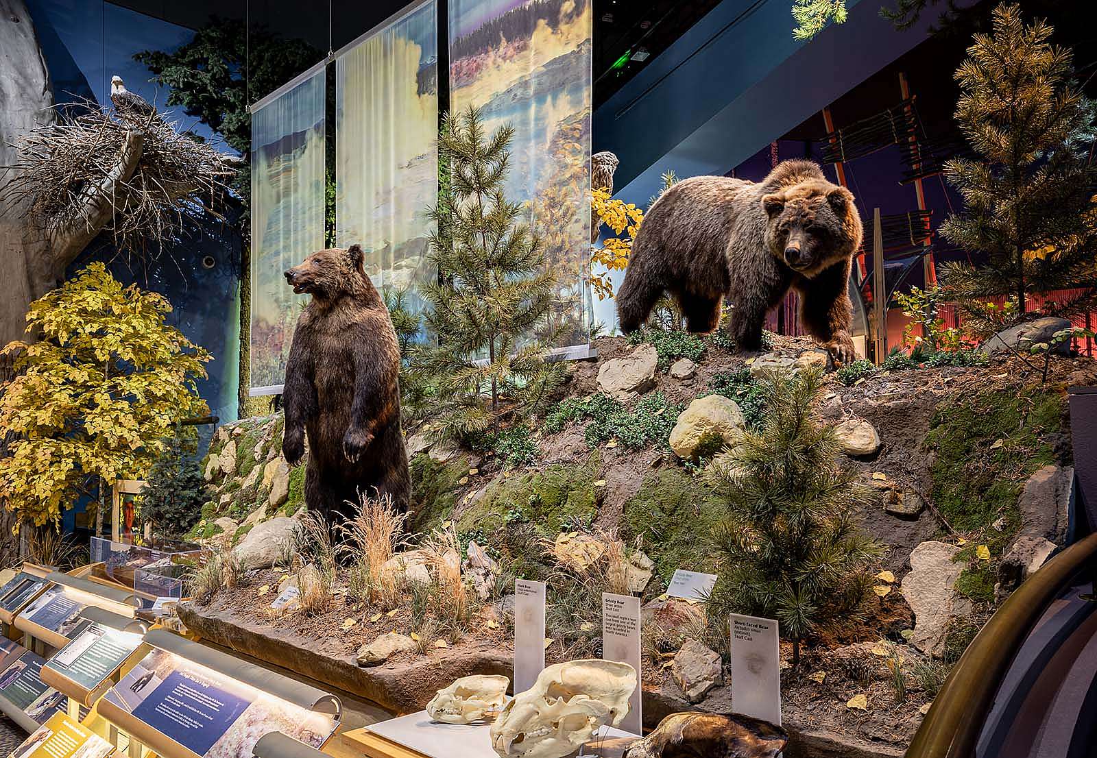 Draper Natural History Museum. John Harris, 2022.