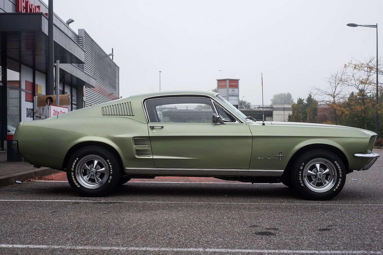 Ford Mustang Fastback (1965 - 1970)   ---photo credit: pixarno - stock.adobe.com