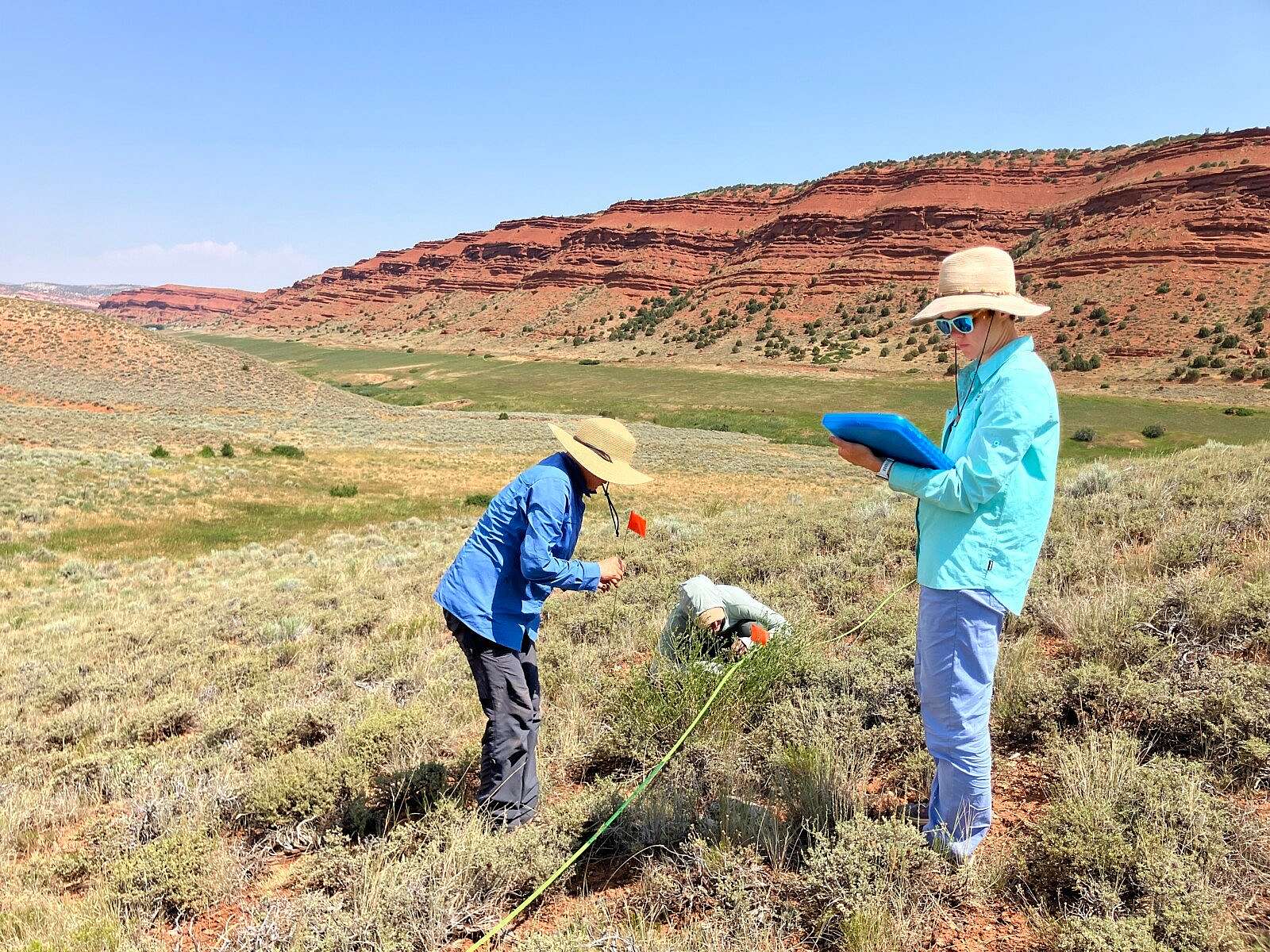 Red-Canyon-Ranch-TNC-cheatgrass-surveys-credit-Corinna-RiginosTNC-2 Scientists monitor the spread of cheatgrass at Red Canyon Ranch, a Nature Conservancy preserve near Lander, Wyoming. © Corinna Riginos/TNC