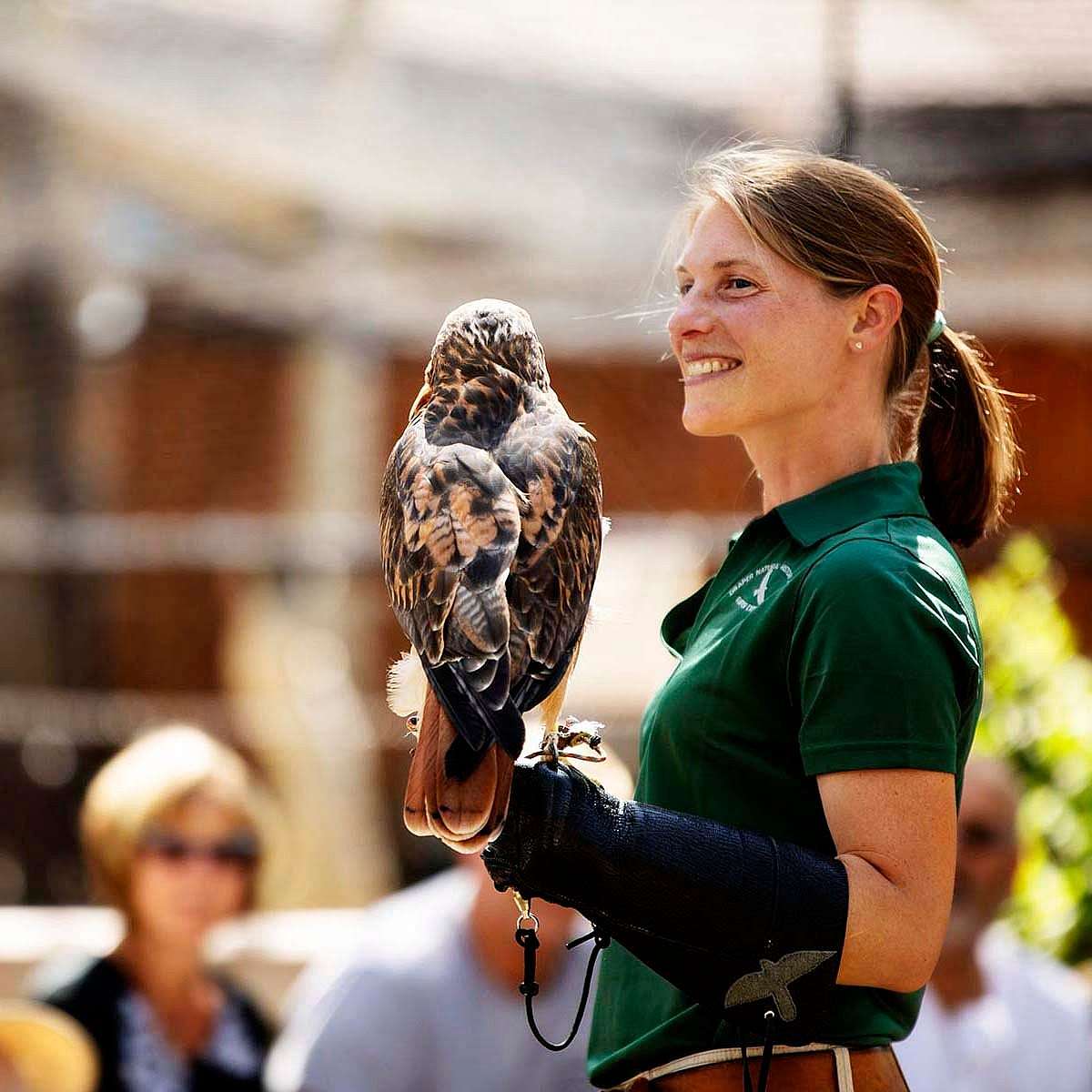 rAPTORS TODAY rAPTORS TODAY