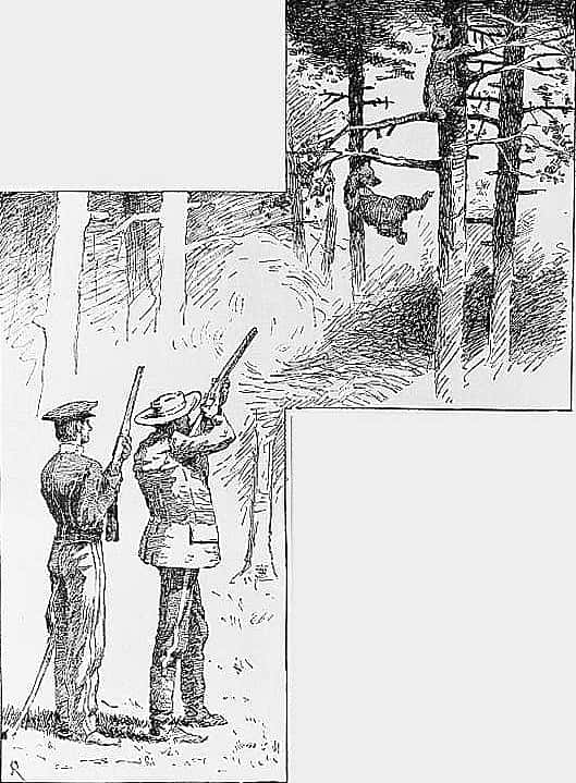 "Taking Careful Aim, I Fired the Right Barrel of My Rifle"