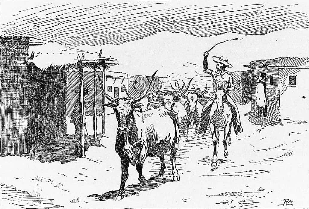 Untitled ("On the Texas Cow-Trail," driving cattle through town)