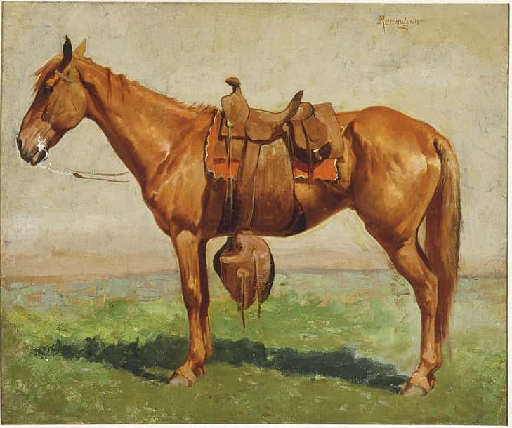 The Cow Pony