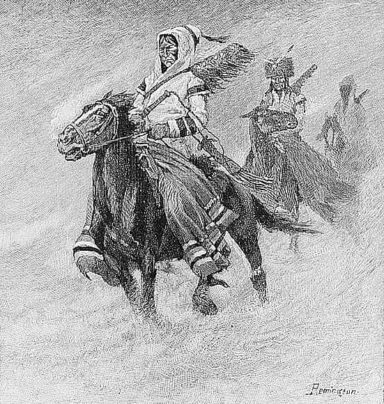 Horse of the Canadian North-West