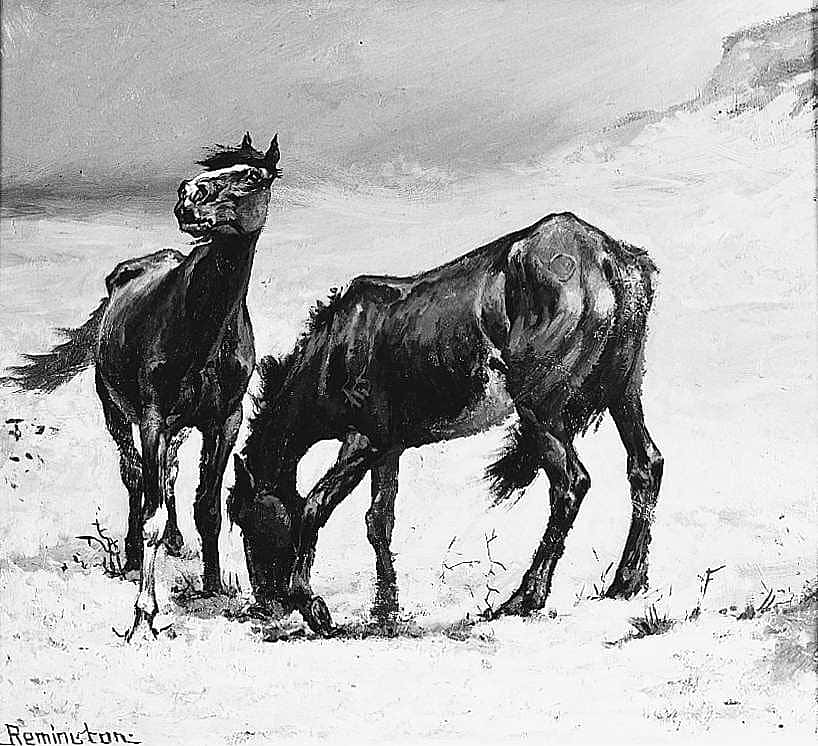Ponies Pawing in the Snow