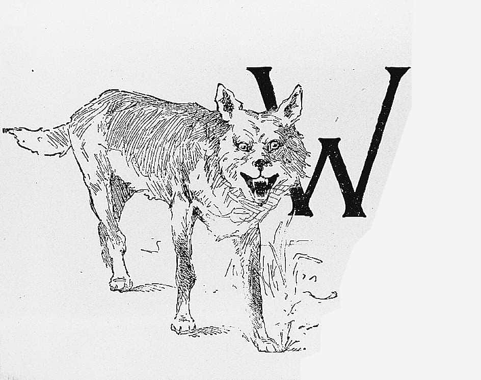 Untitled (Ranch Life and the Hunting-Trail, initial-piece for letter W, coyote)