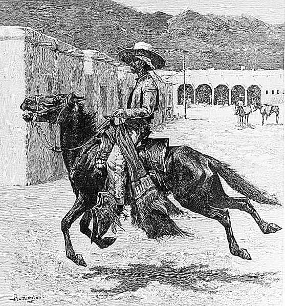 Spanish Horse of Northern Mexico