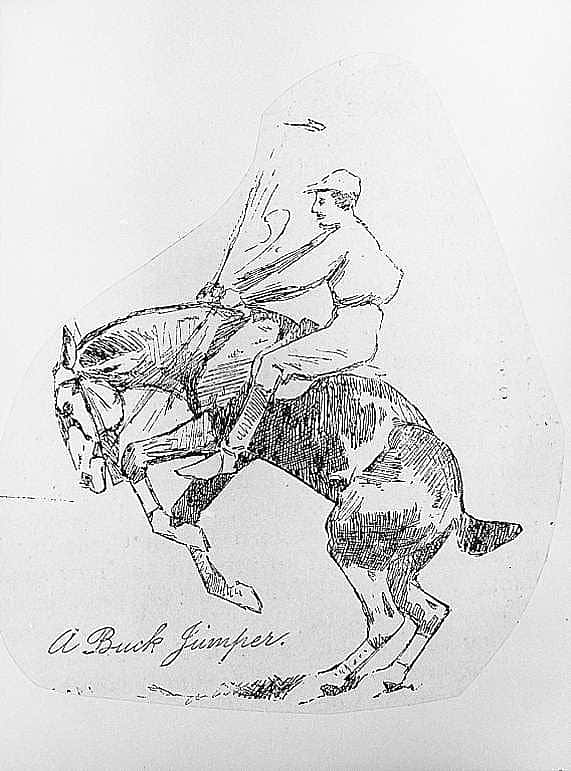 A Buck Jumper