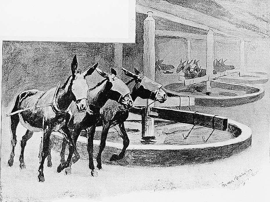 Washing in the Lavadero