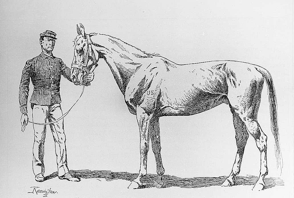 "Will the Liftinent Plaze to Come out and Inspict His Horse?"