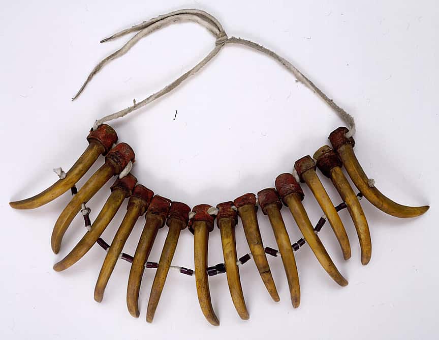 Catalogue number 00557a