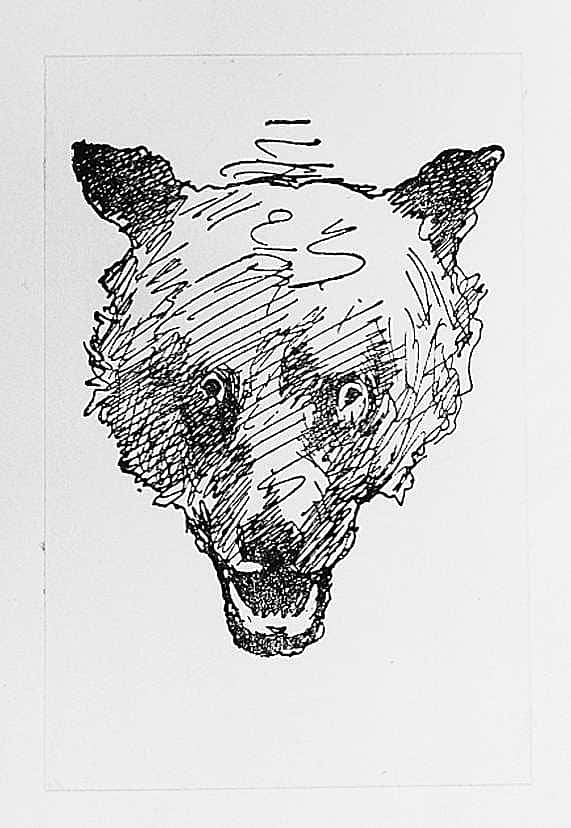 Bear