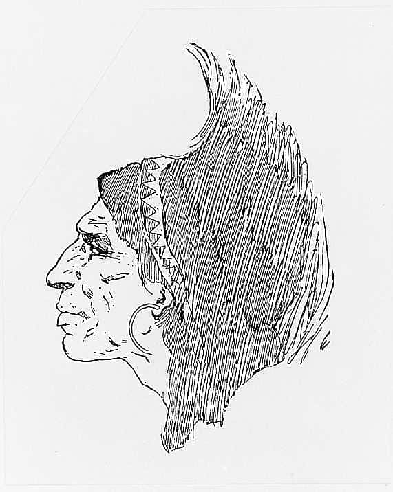 Ideal Head