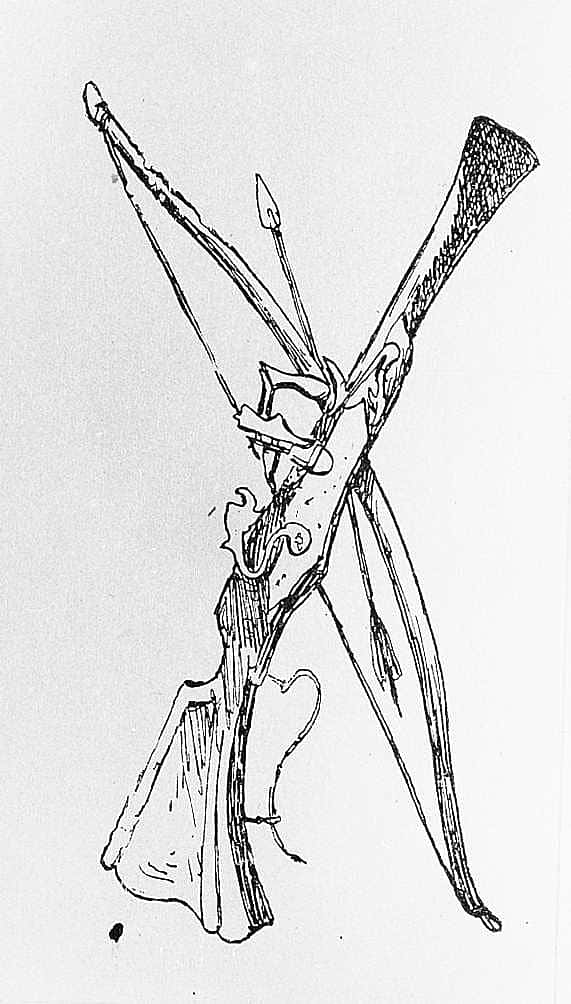 Old Blunderbuss, Bow, and Arrow