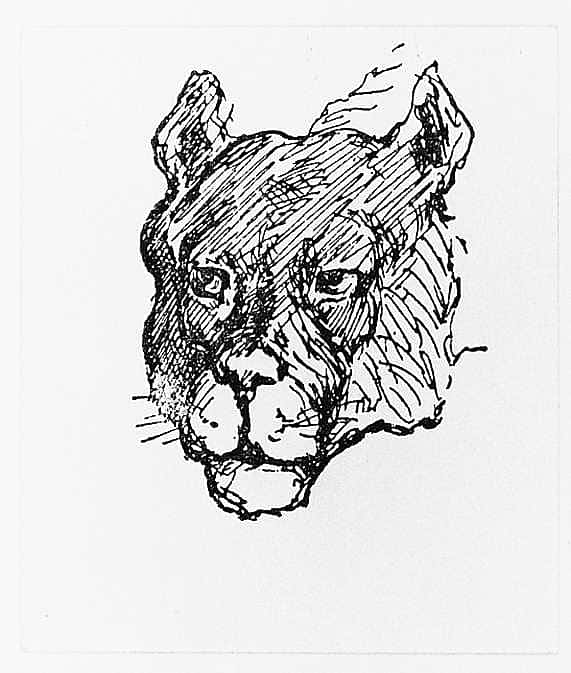 Panther