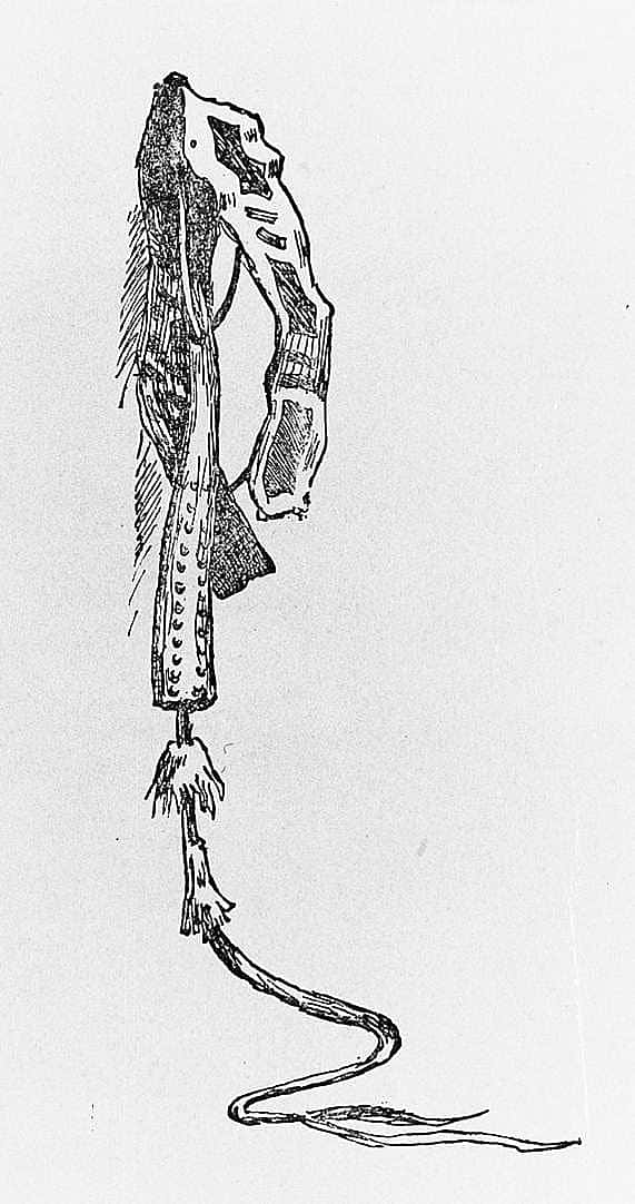 Riding Whip or Quirt
