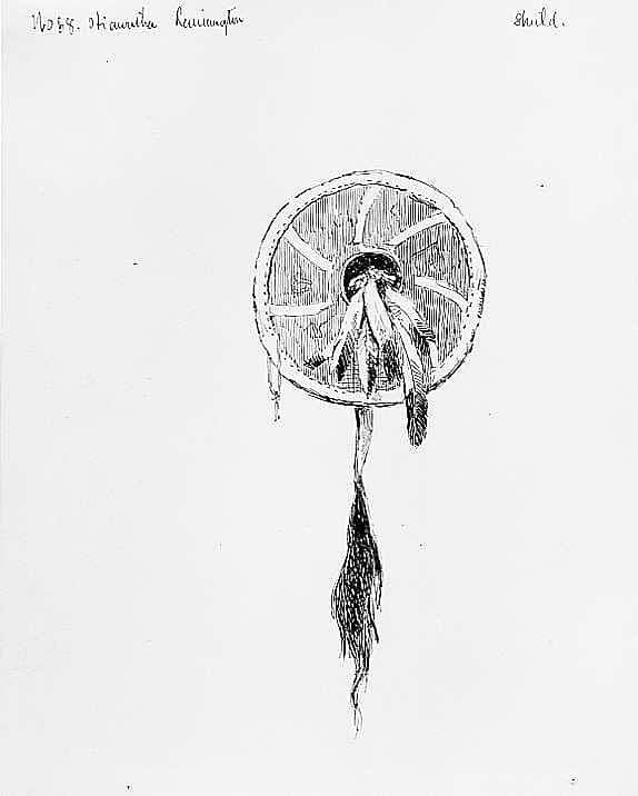 Shield