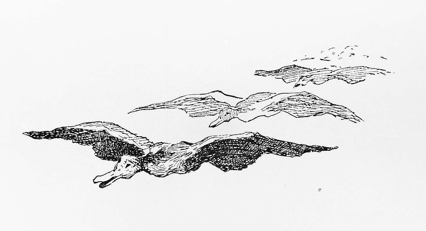 Wild Ducks, 1889