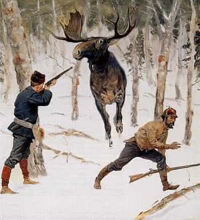The Moose Hunt