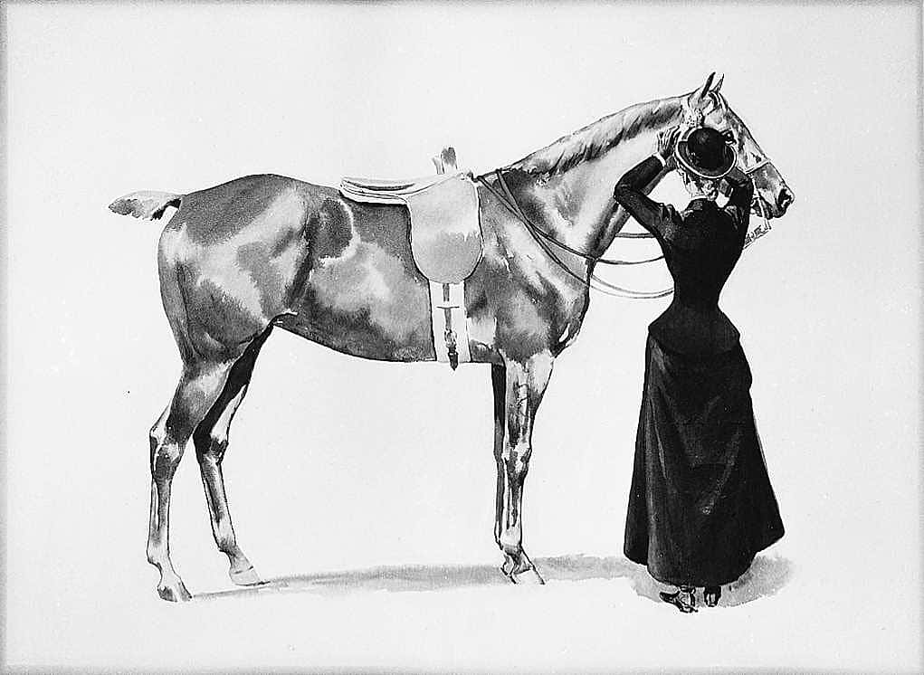 Show Horse