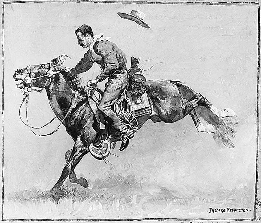 A Sample Steed