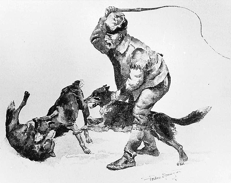 Huskie Dogs Fighting