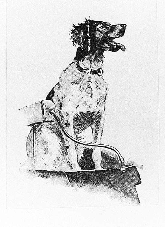 Untitled ("Stubble and Slough in Dakota," headpiece, dog on wagon seat)