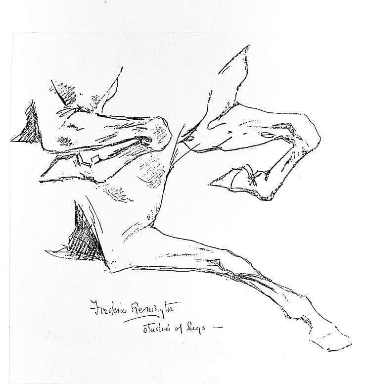 Studies of Legs