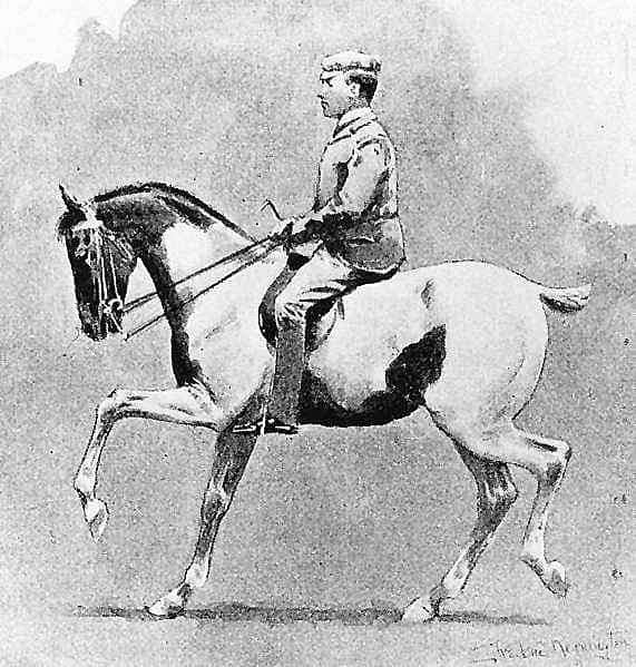 One of the Ponies