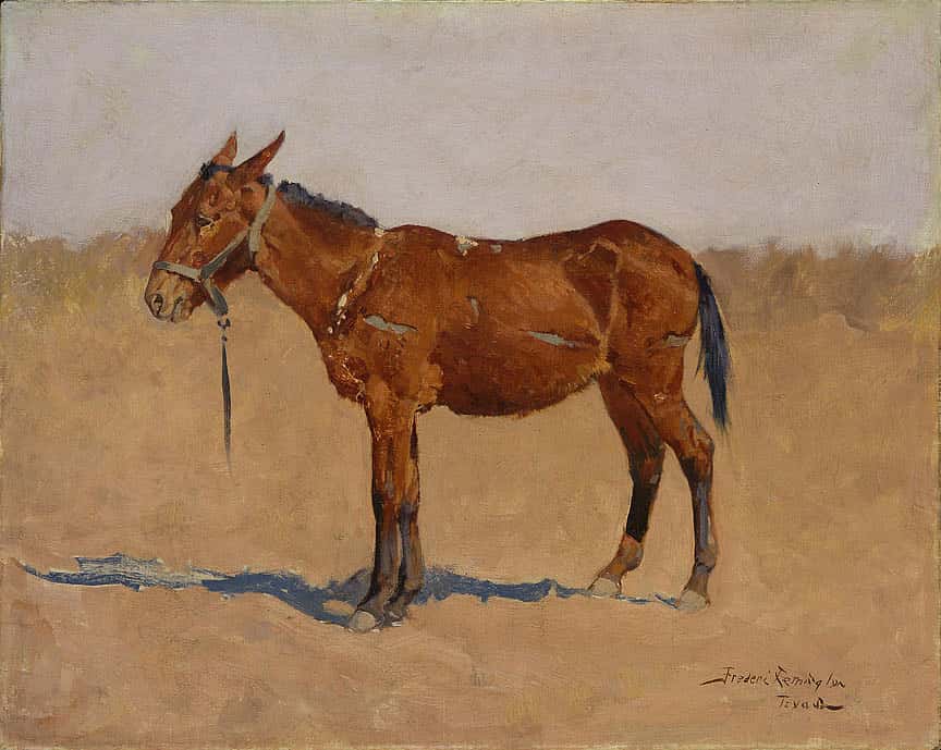Untitled (mule)