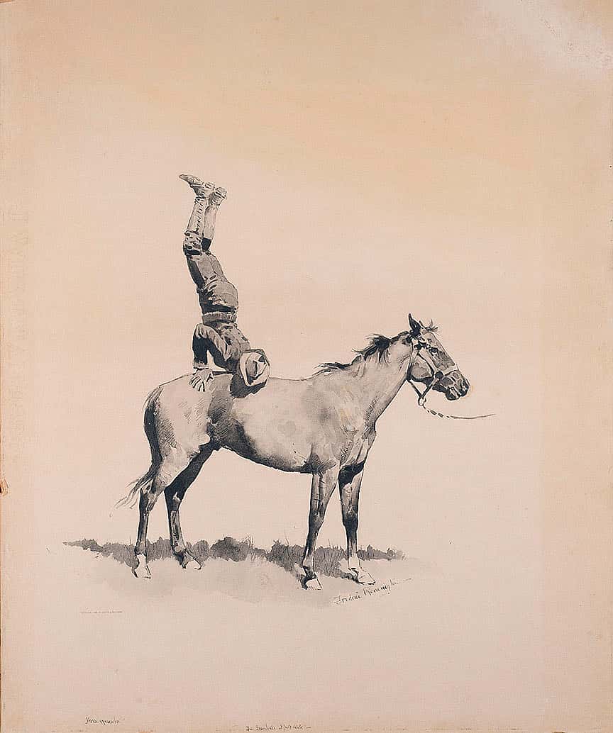 Horse Gymnastics
