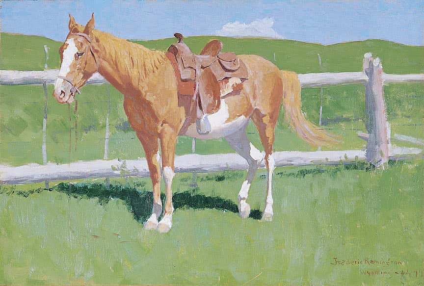 Sorrel Horse Study