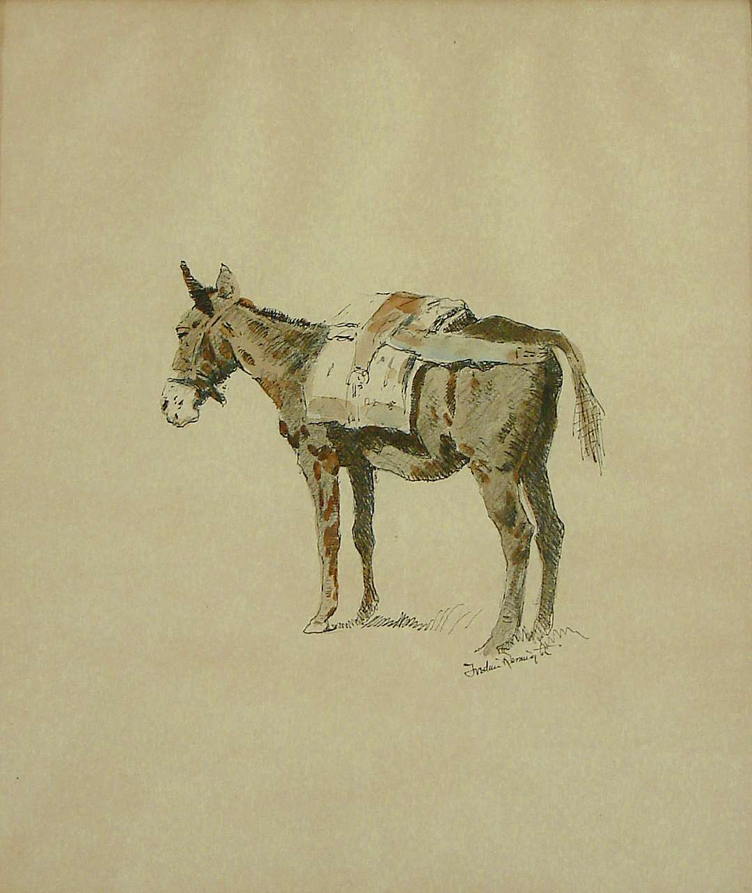 Catalogue number 02456.1