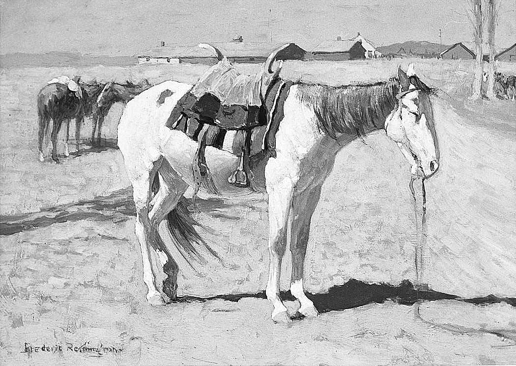 Squaw Pony