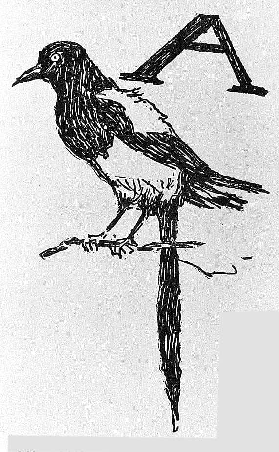 Untitled (John Ermine of the Yellowstone, initial-piece for letter A, magpie)