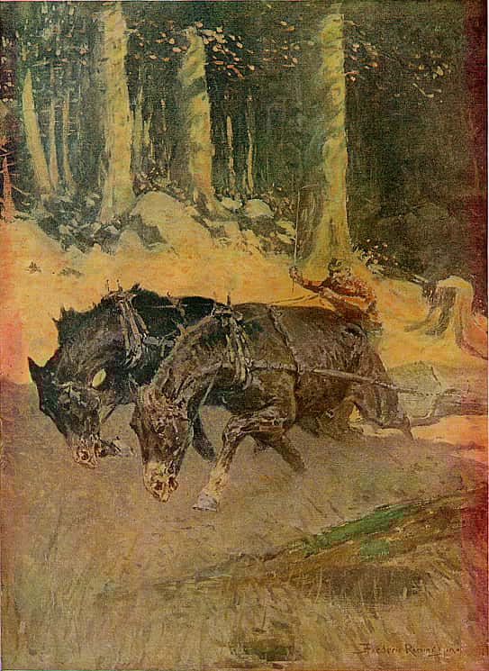 Snaking Logs to the Skidway