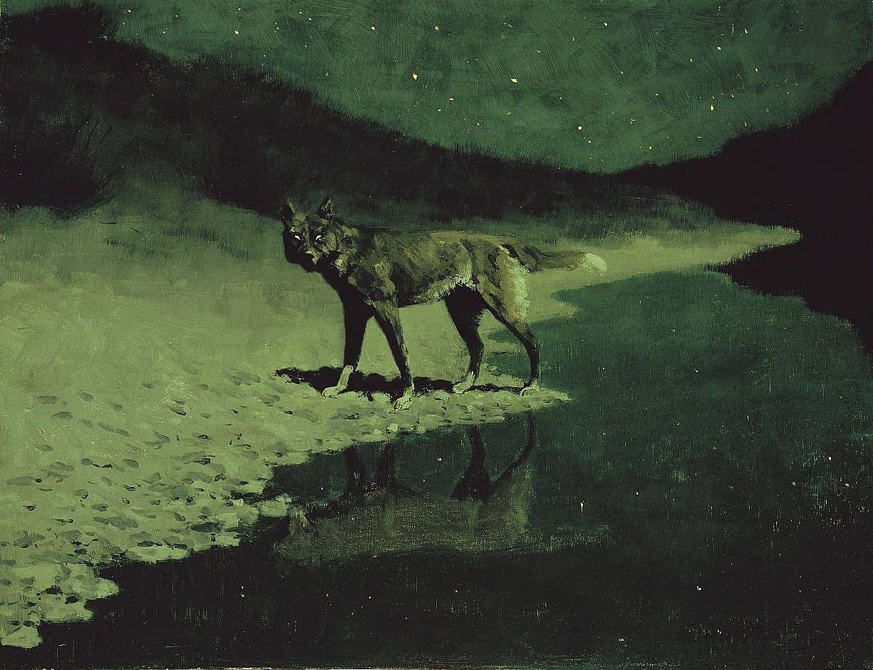 Moonlight, Wolf