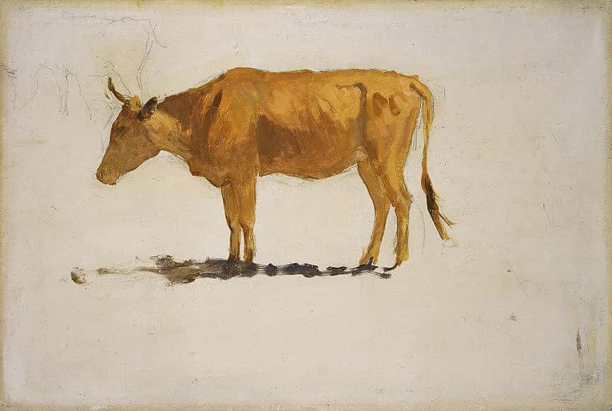Untitled (cow study)