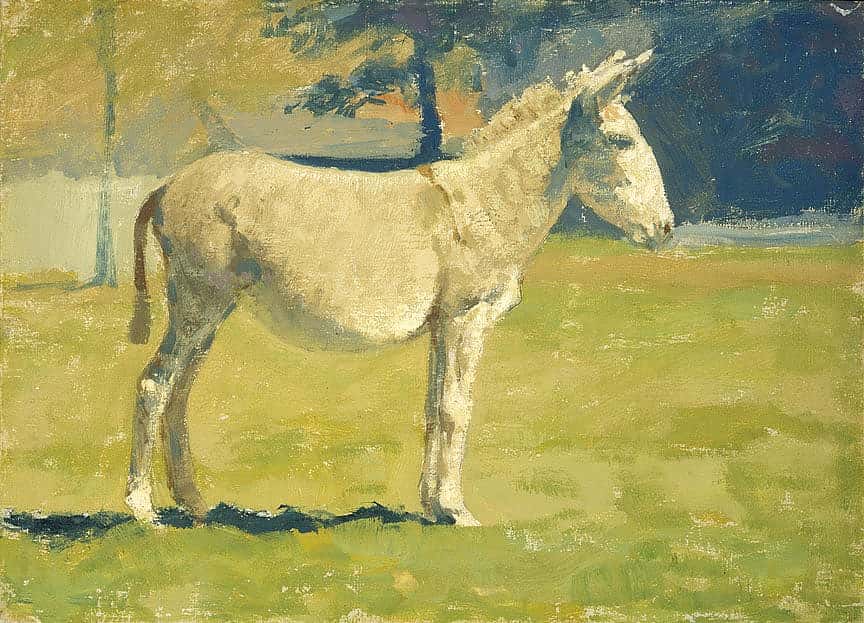 Untitled (gray burro study)