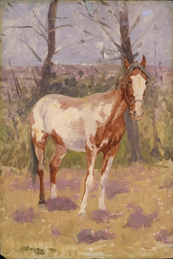 Untitled (horse study)
