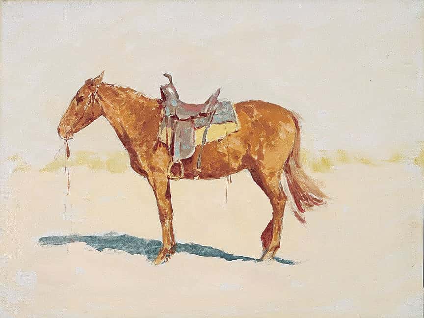 Untitled (horse study)